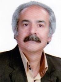 دکتر سیدحسن گلبوئی