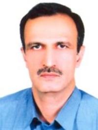 سیدمحمد حسین ناصری