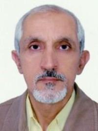 سید علی ذولفقاری